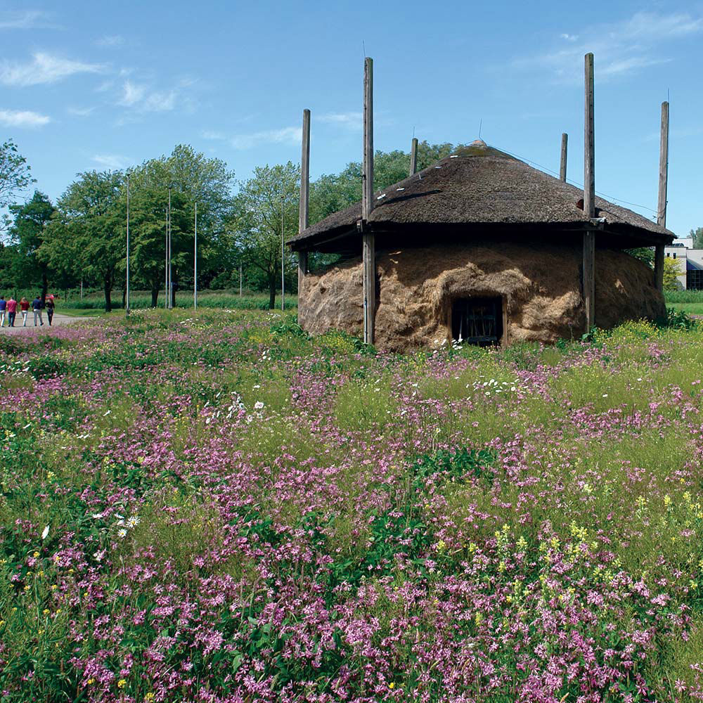 Heineken Zoeterwoude
